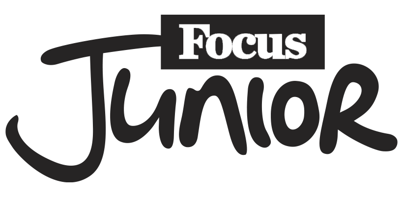 Mirko Rinaldi Creative Studio 9 Focus-junior-MRCS